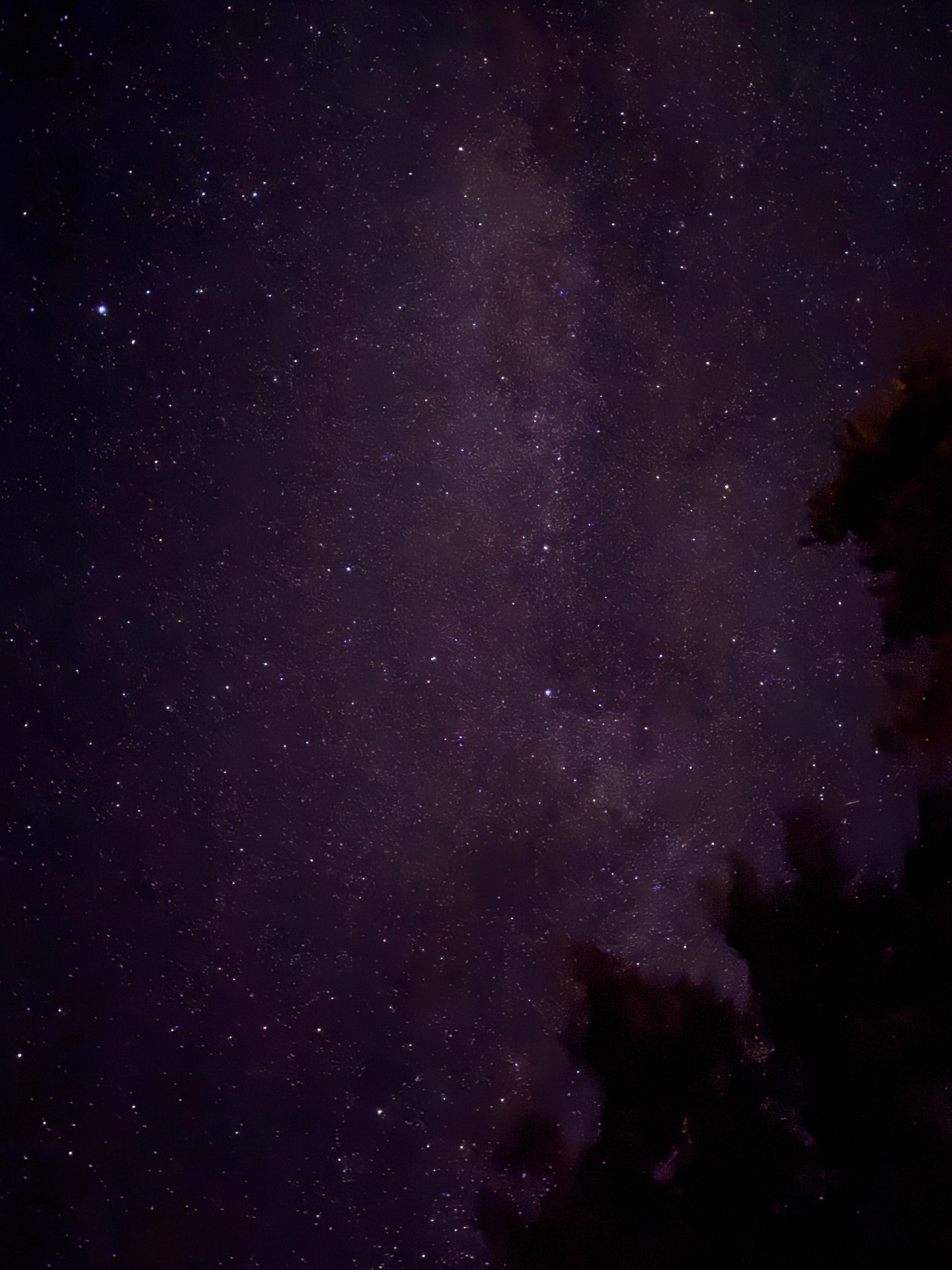 Starry night sky above the Colorado forest