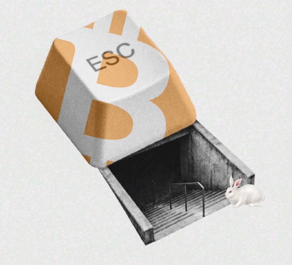An ESC key propped open as a hatch, a staircase descending into darkness, and a white rabbit at the threshold — going down the rabbit hole.